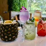 Cover image for The Lola - Cocktail Lab & Eatery