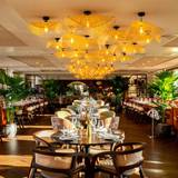 Cover image for Kitty Hawk Rooftop Restaurant & Bar