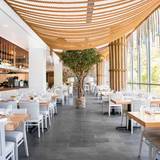 Cover image for Avli on The Park - Lakeshore East