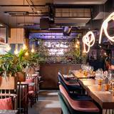 Cover image for Motley