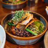 Cover image for Twisted Fern