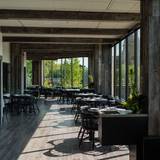 Cover image for The Butternut Tree