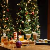 Cover image for The Holiday Lodge at Four Seasons Hotel St. Louis