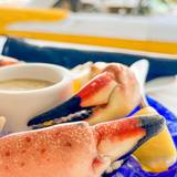 Cover image for A Fish Called Avalon