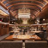 Cover image for Sparrow Italia Miami