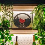 Cover image for Messina