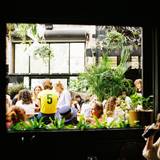 Cover image for Howler