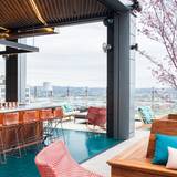 Cover image for Rarebird