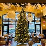 Cover image for Reserve 22