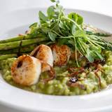 Cover image for Candela Cucina