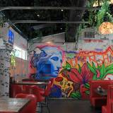 Cover image for Neon Gardens