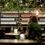 Cover image for Nosferatu Distillery