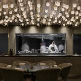 Cover image for Opheem