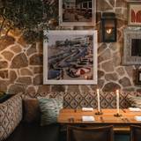 Cover image for Predalina