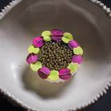 Cover image for Atelier Crenn