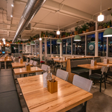 Cover image for Mestizo