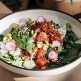 Cover image for Fine Company