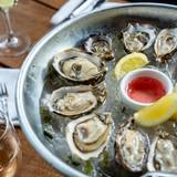 Cover image for Palace Kitchen