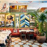 Cover image for The Ivy Temple Row