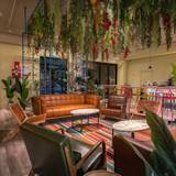 Cover image for Mister Oso Wash Park