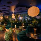 Cover image for Sorry Gorgeous