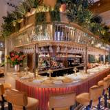 Cover image for The Ivy Buchanan Street Glasgow