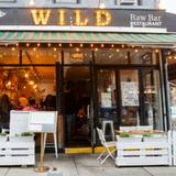 Cover image for Wild Park Slope