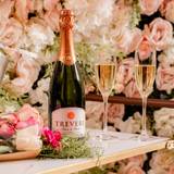 Cover image for Ace Porter