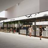 Cover image for squid. inc