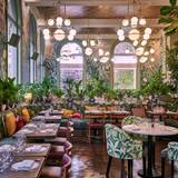 Cover image for The Ivy Exeter