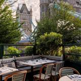 Cover image for The Ivy Tower Bridge