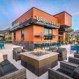 Cover image for Urban Prime