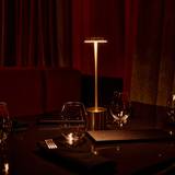 Cover image for Sussex & Co.