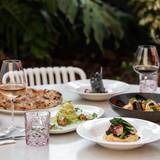 Cover image for Italia Lane