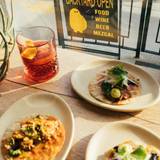 Cover image for Panzn