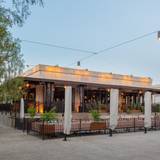 Cover image for Dama