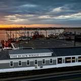 Cover image for The Black Whale