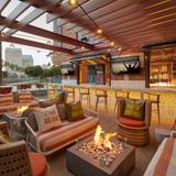 Cover image for Wild Hare Bar Garden