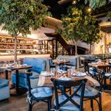 Cover image for Timbr