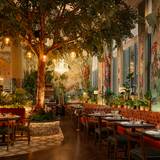 Cover image for Ivy Liverpool