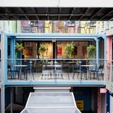 Cover image for Wildflower By Adrian Martin