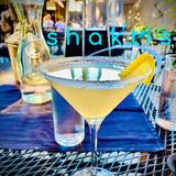 Cover image for Shakti's