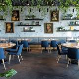 Cover image for Rocca Tampa