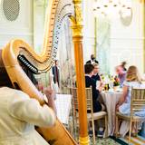 Cover image for Willard Holiday Brunch