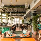 Cover image for Cabra - Chicago