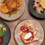 Cover image for The Morning Dish