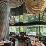 Cover image for Kingbird at The Watergate Hotel