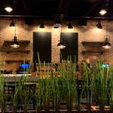 Cover image for 317 Main Street