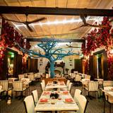 Cover image for Te Deseo