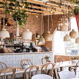 Cover image for The Moth Cafe